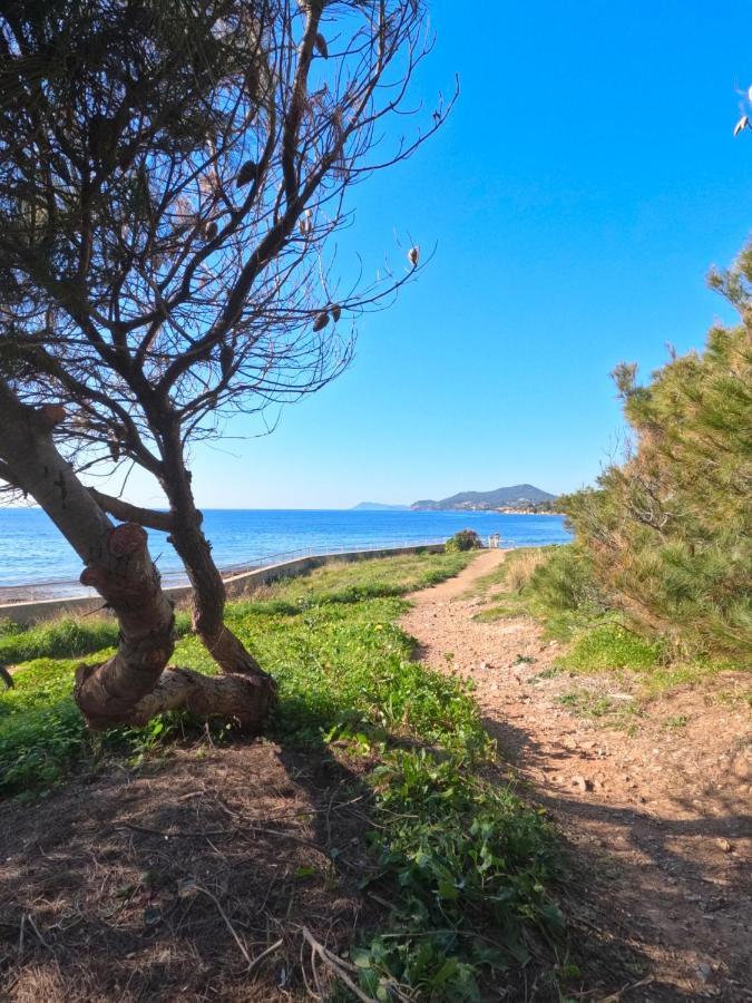 Appartement Hyeres - Costebelle Duplex Vue Mer Balcon Residence Privee Parking - Marie Caroline Zewnętrze zdjęcie